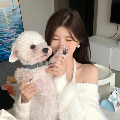 直言真相第二季